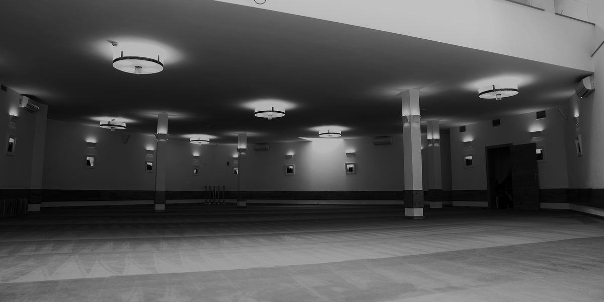 header_spendenaktion.png